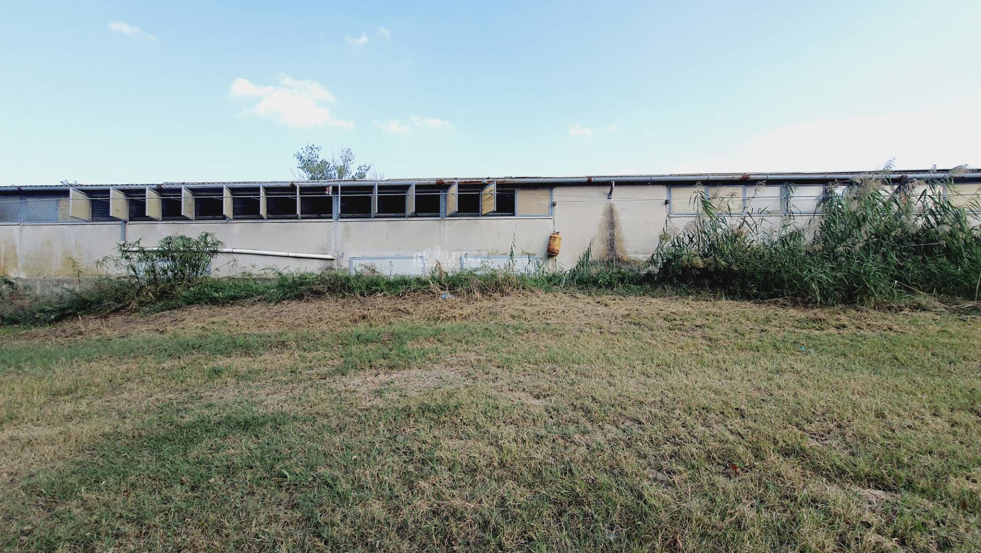 Casa in vendita a Offida, COLLINARE