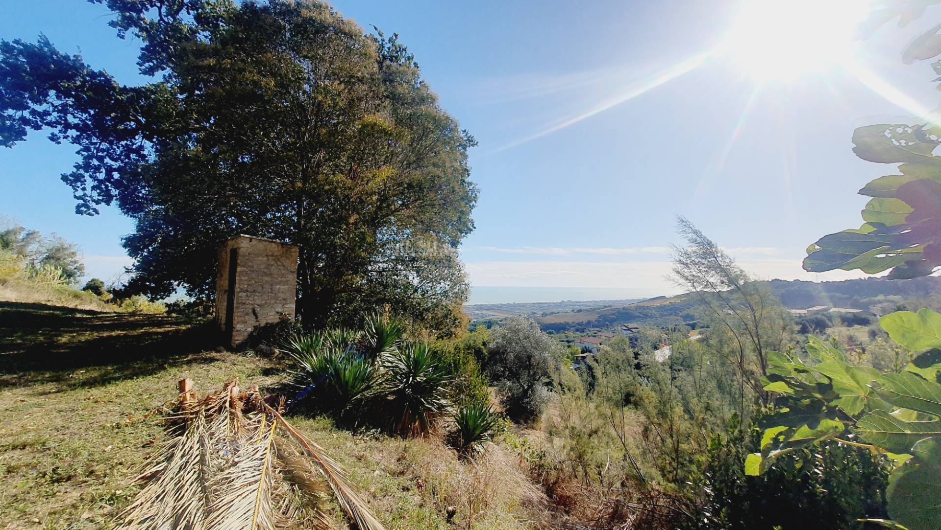 Casale / Rustico in vendita a Colonnella