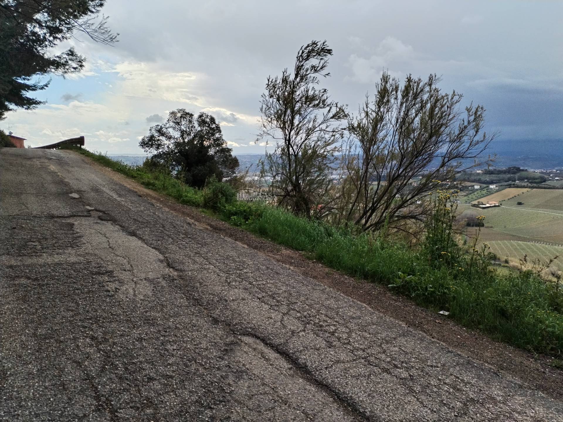 Terreno agricolo in vendita a Monteprandone, COLLINARE