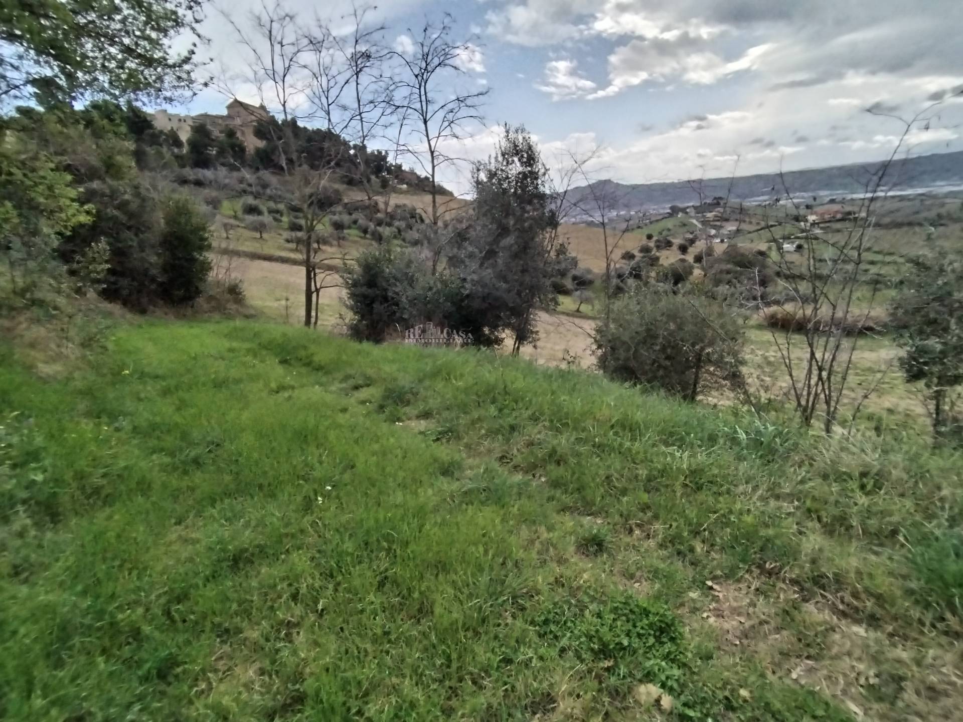 Terreno agricolo in vendita a Monteprandone, COLLINARE
