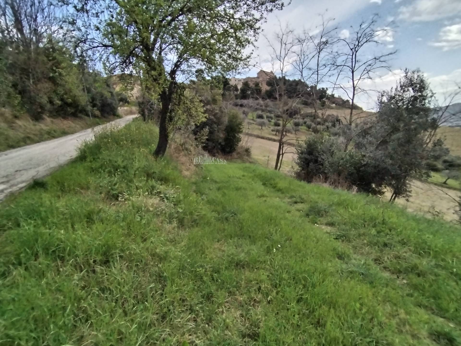 Terreno agricolo in vendita a Monteprandone, COLLINARE