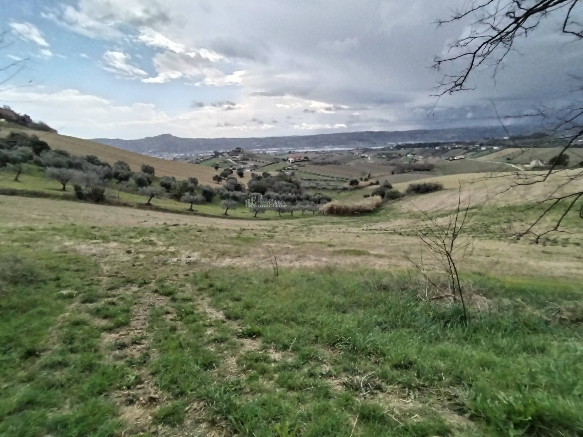 Terreno agricolo in vendita a Monteprandone, COLLINARE