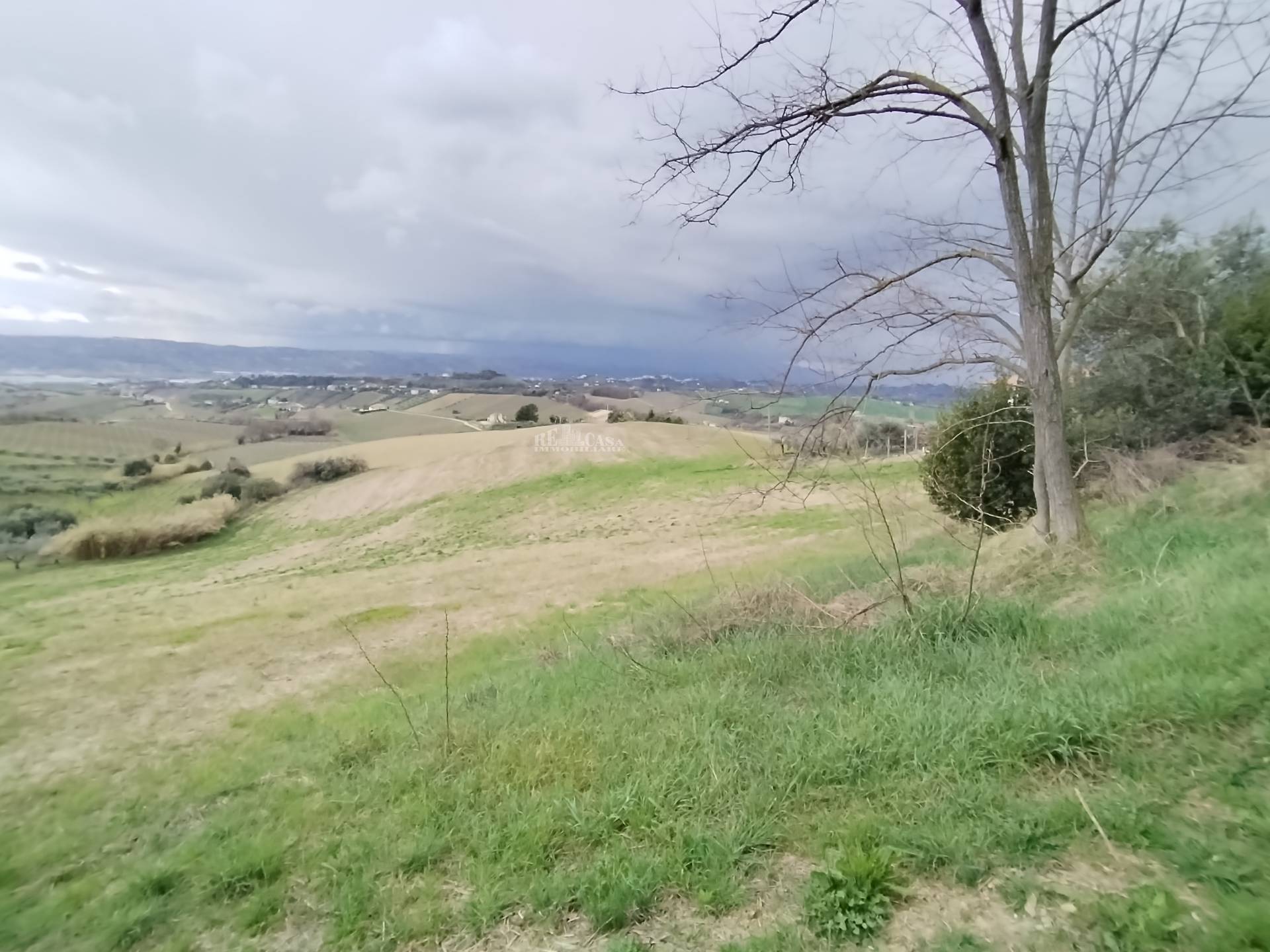 Terreno agricolo in vendita a Monteprandone, COLLINARE