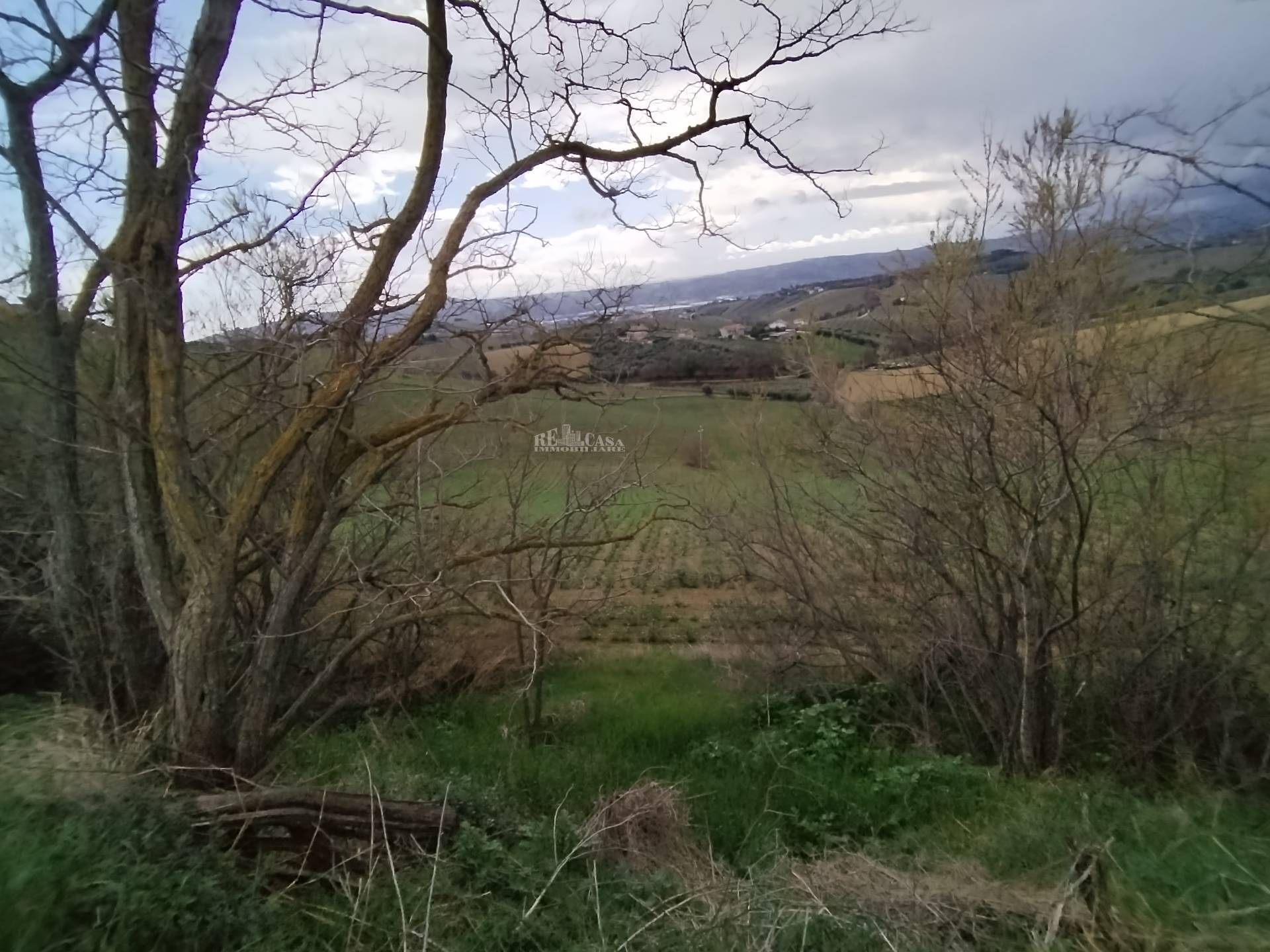 Terreno agricolo in vendita a Monteprandone, COLLINARE