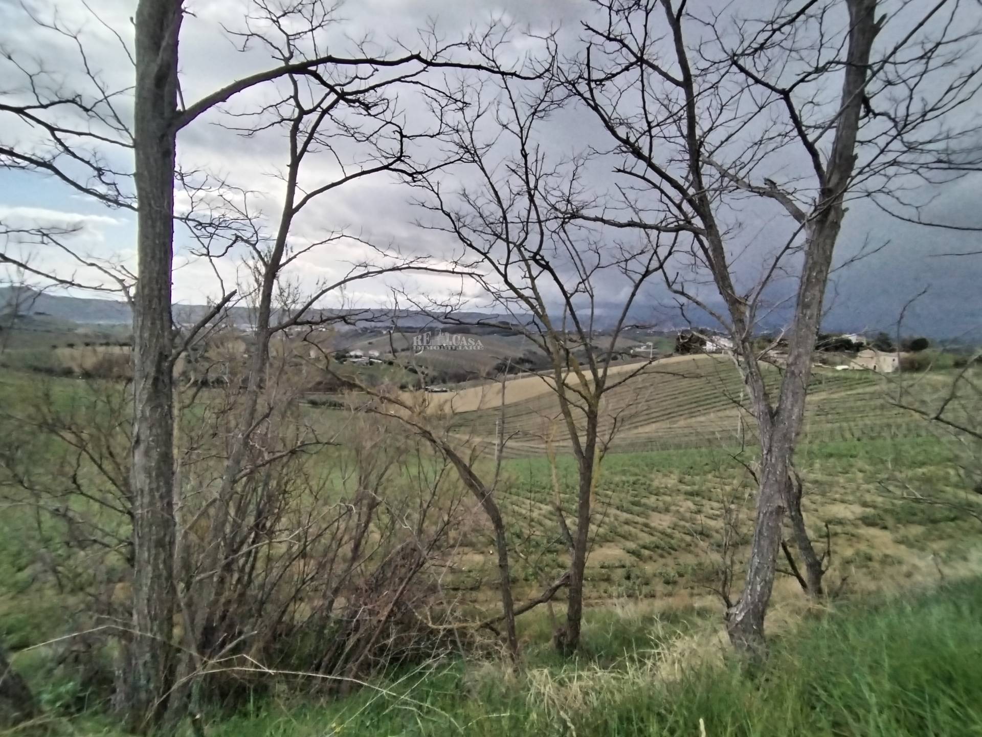 Terreno agricolo in vendita a Monteprandone, COLLINARE