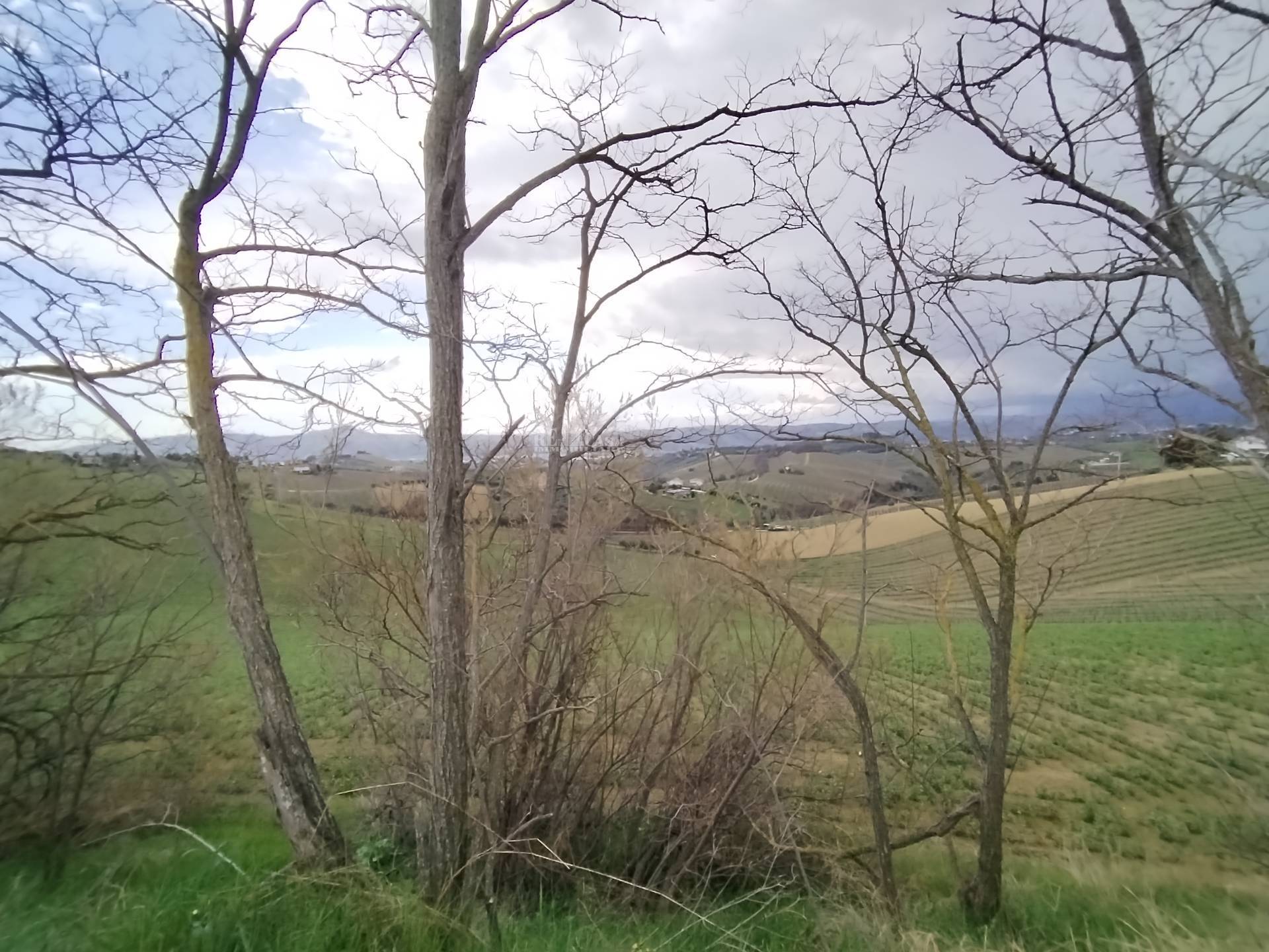 Terreno agricolo in vendita a Monteprandone, COLLINARE