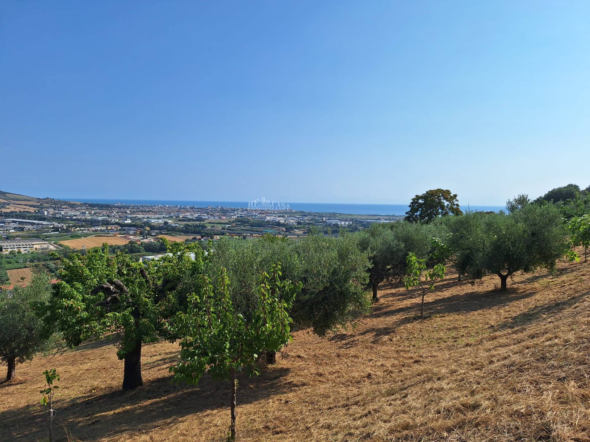 Terreno agricolo in vendita a Colonnella