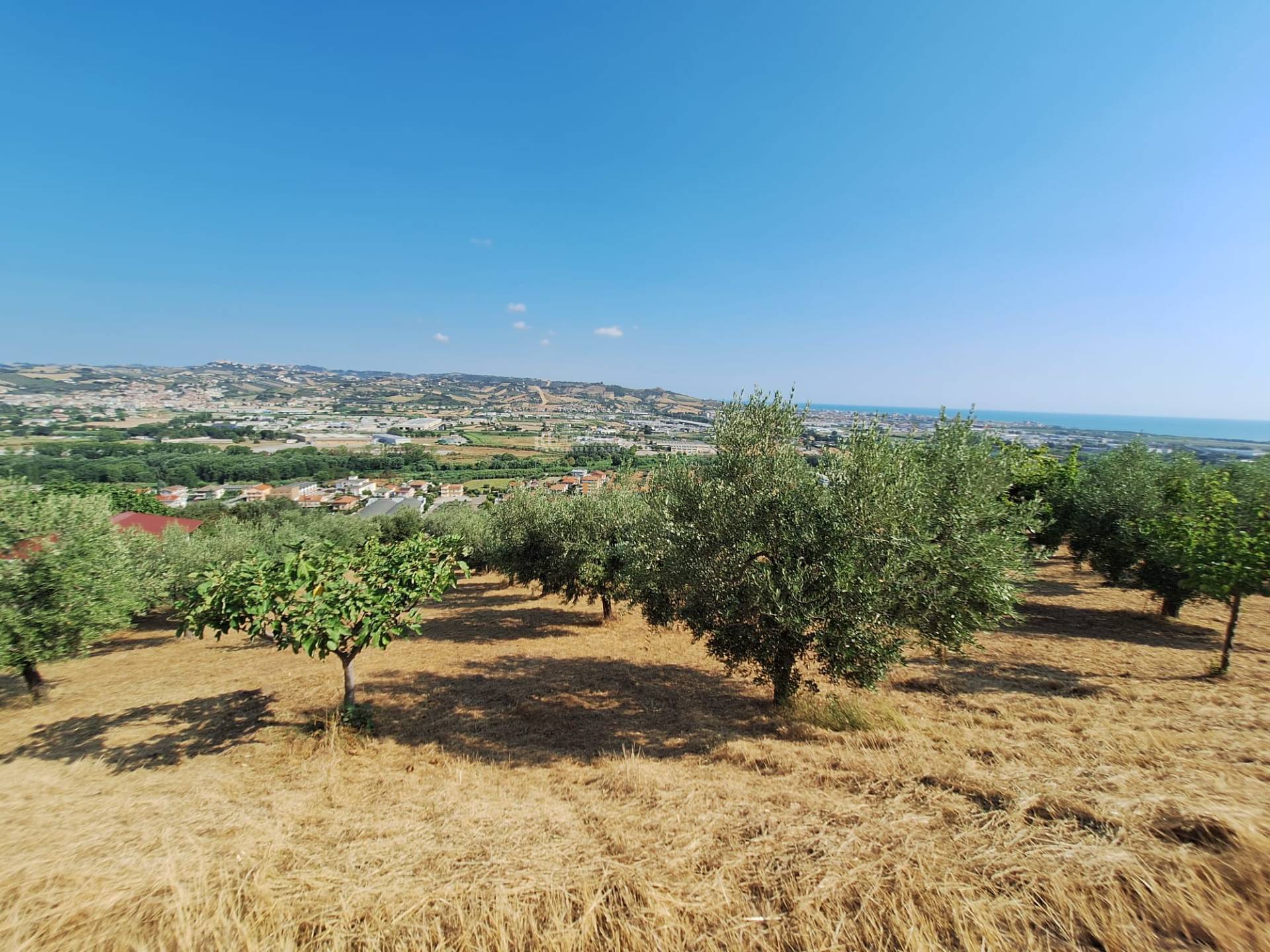 Terreno agricolo in vendita a Colonnella