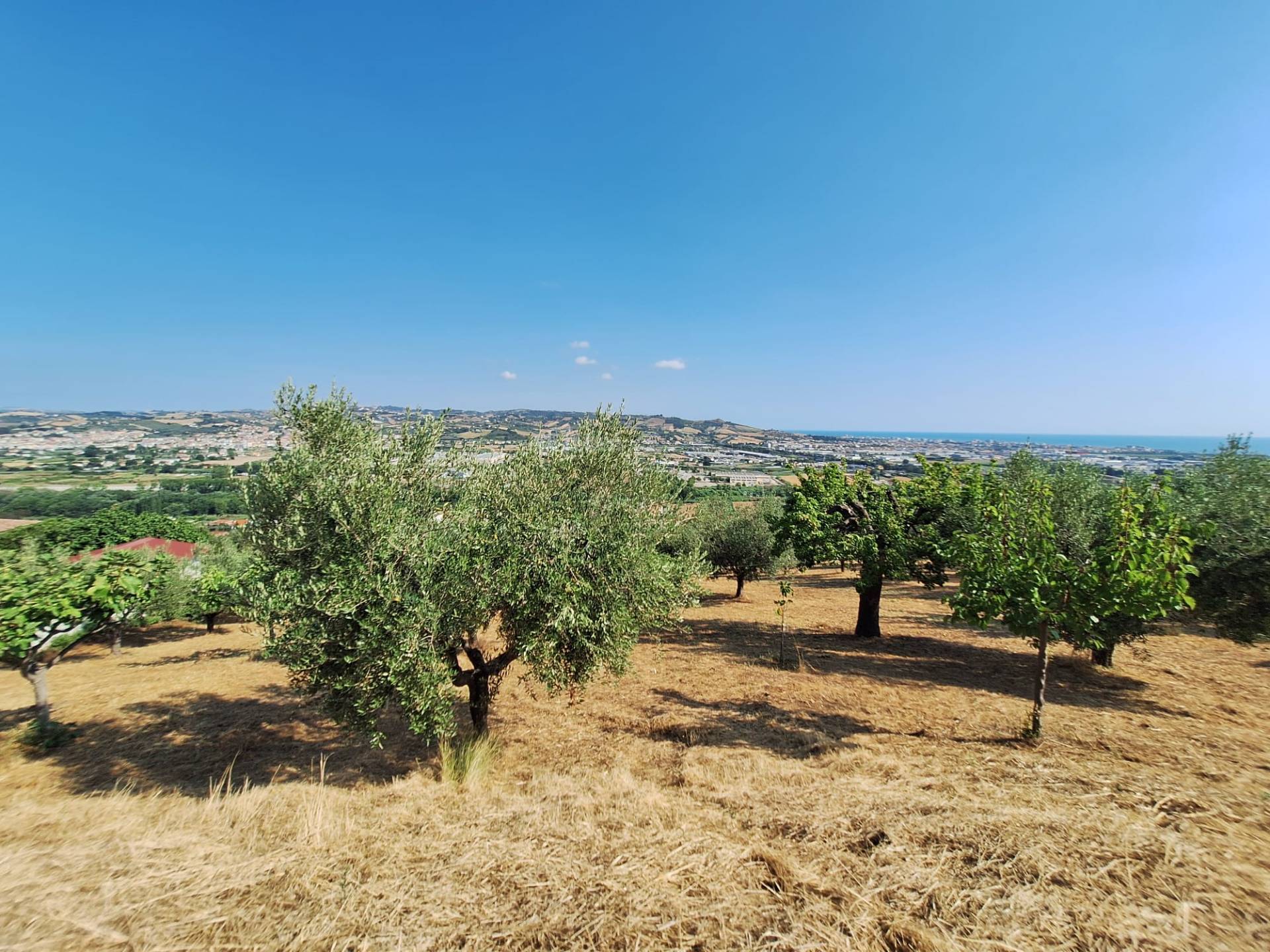 Terreno agricolo in vendita a Colonnella