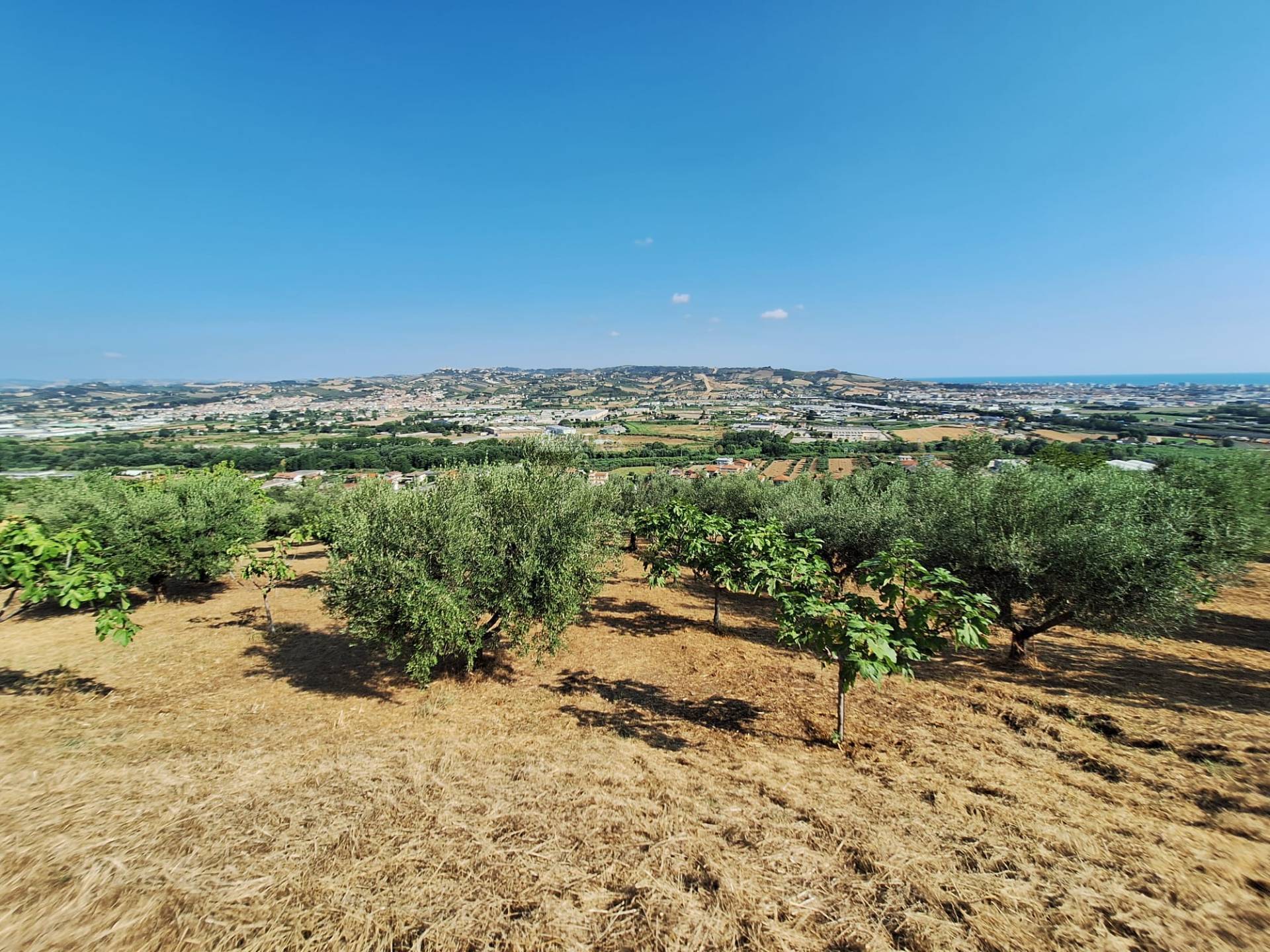 Terreno agricolo in vendita a Colonnella
