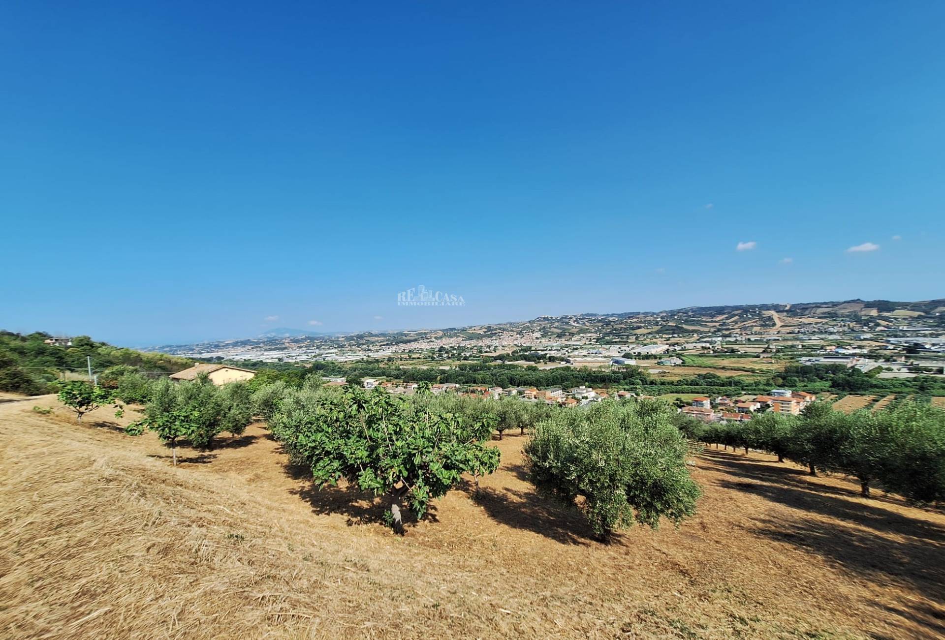 Terreno agricolo in vendita a Colonnella