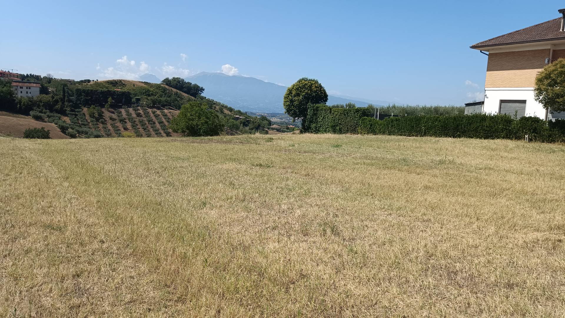 Terreno edificabile residenziale in vendita a Castorano, Palazzi