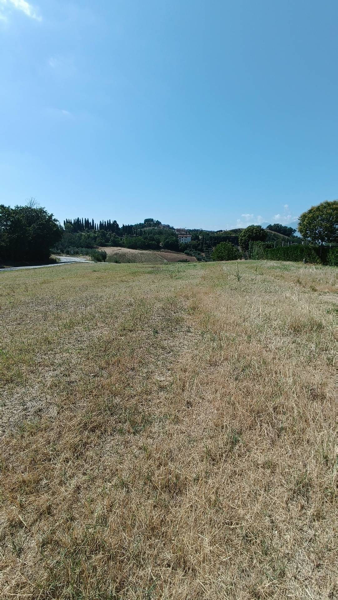 Terreno edificabile residenziale in vendita a Castorano, Palazzi