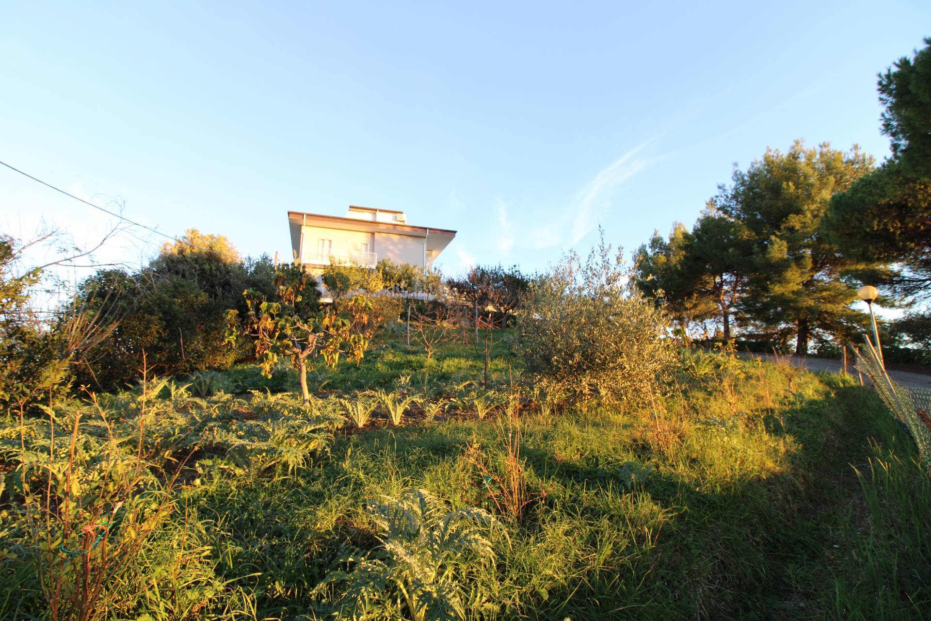 Terreno edificabile residenziale in vendita a Massignano, CENTRALE / CENTRO STORICO