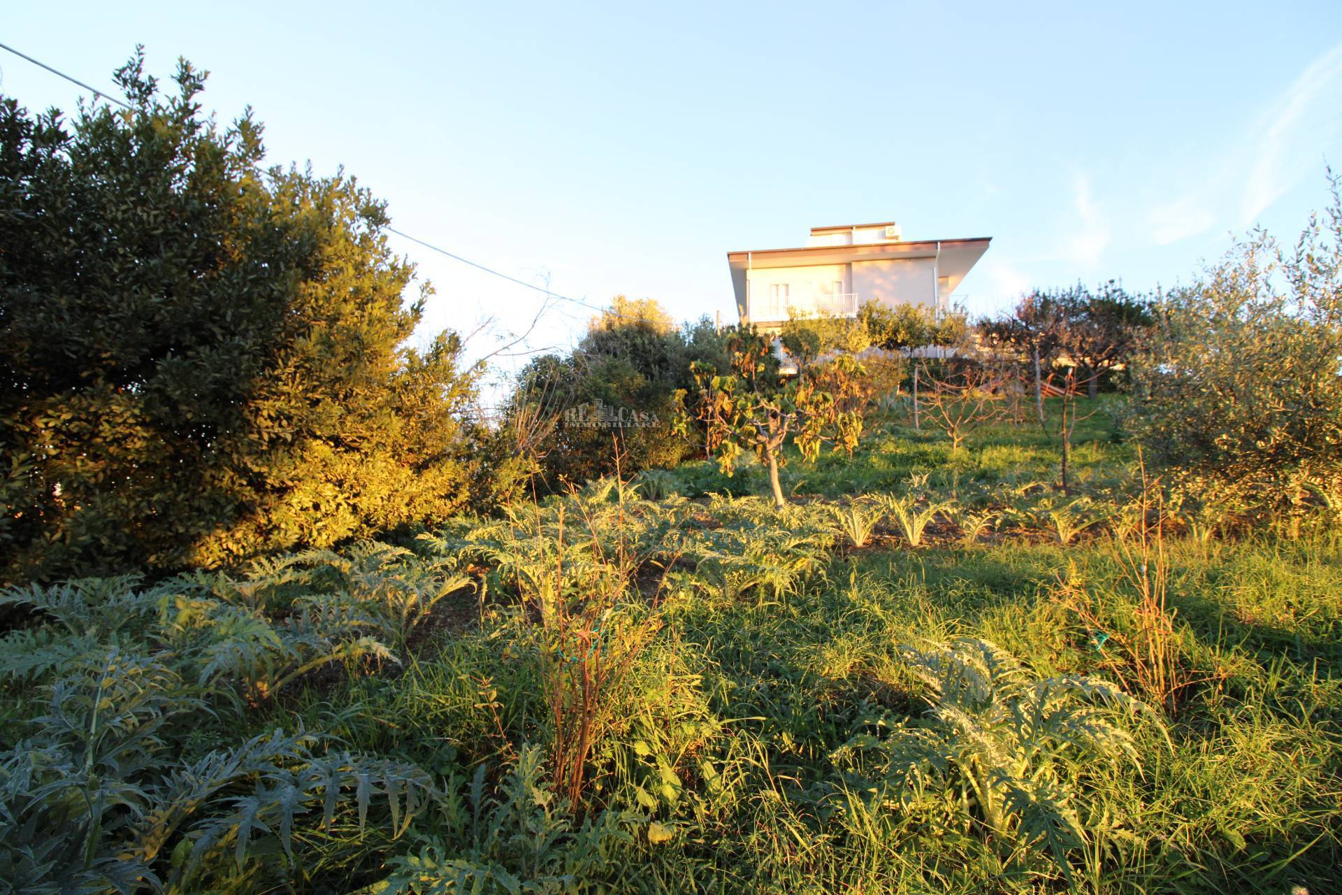 Terreno edificabile residenziale in vendita a Massignano, CENTRALE / CENTRO STORICO