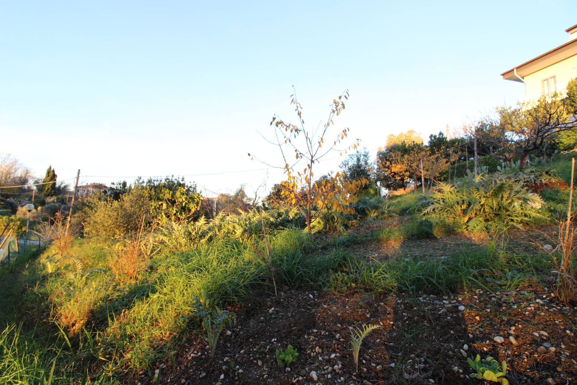 Terreno edificabile residenziale in vendita a Massignano, CENTRALE / CENTRO STORICO