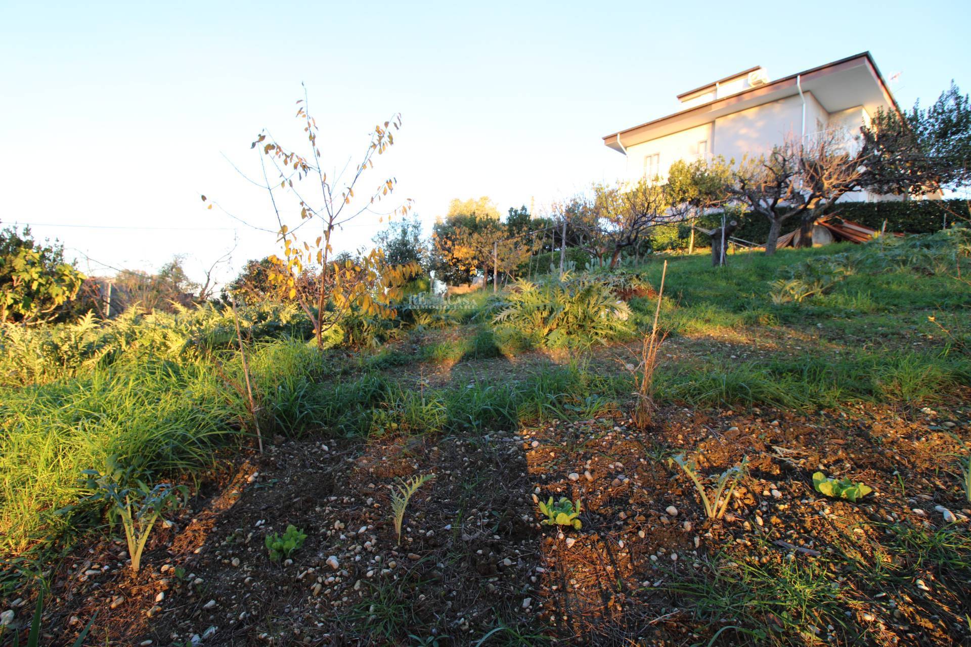 Terreno edificabile residenziale in vendita a Massignano, CENTRALE / CENTRO STORICO