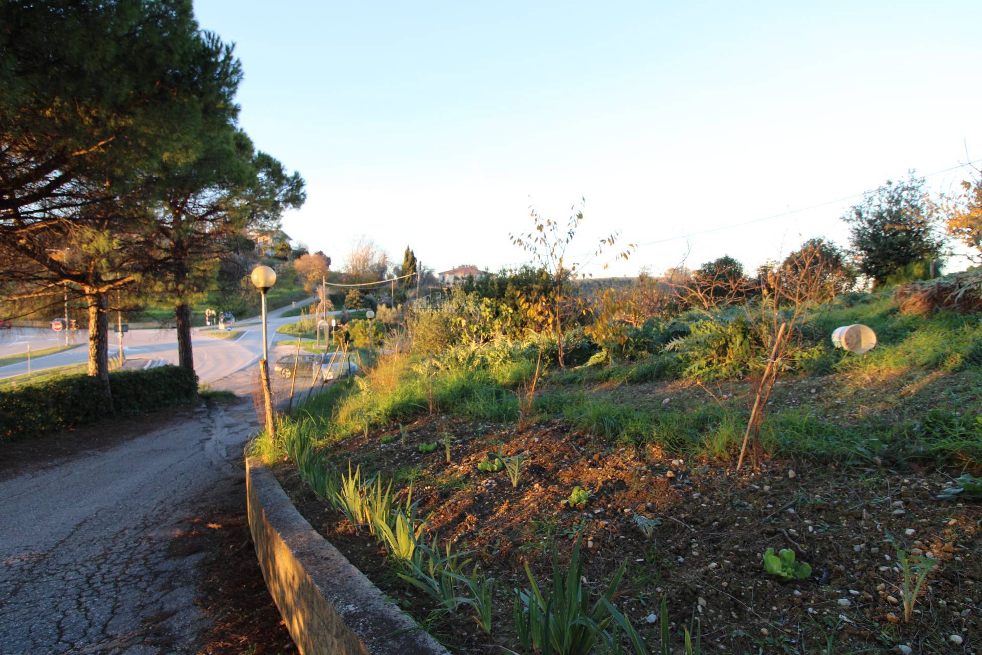 Terreno edificabile residenziale in vendita a Massignano, CENTRALE / CENTRO STORICO
