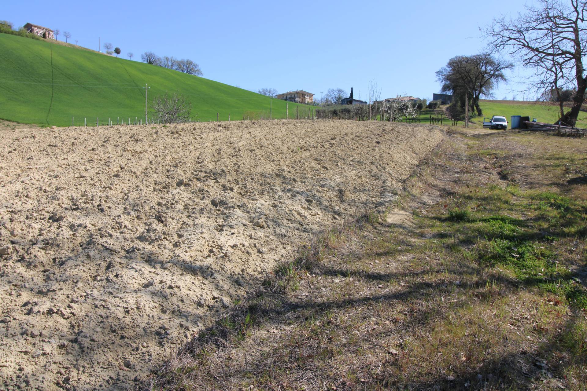 Terreno agricolo in vendita a Montottone