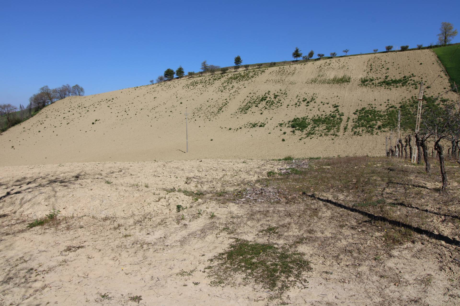 Terreno agricolo in vendita a Montottone