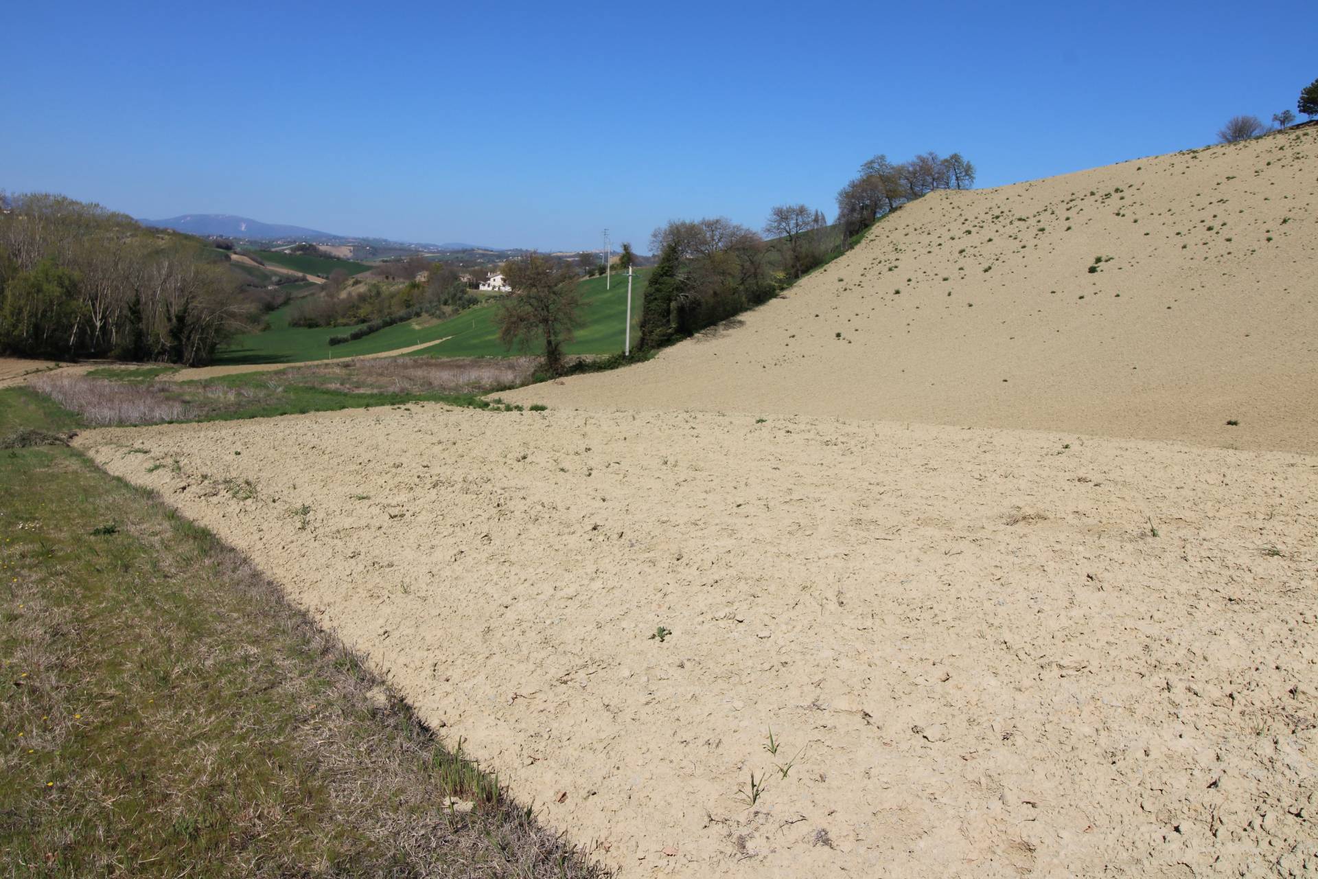 Terreno agricolo in vendita a Montottone