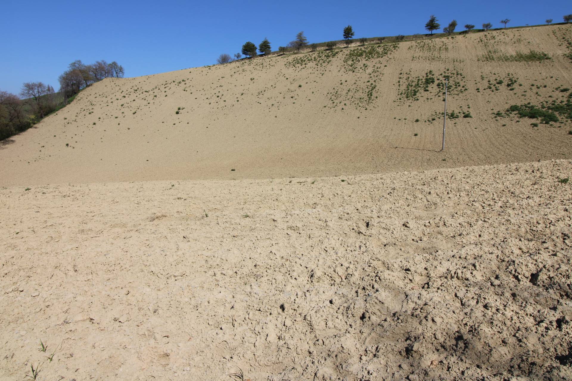 Terreno agricolo in vendita a Montottone