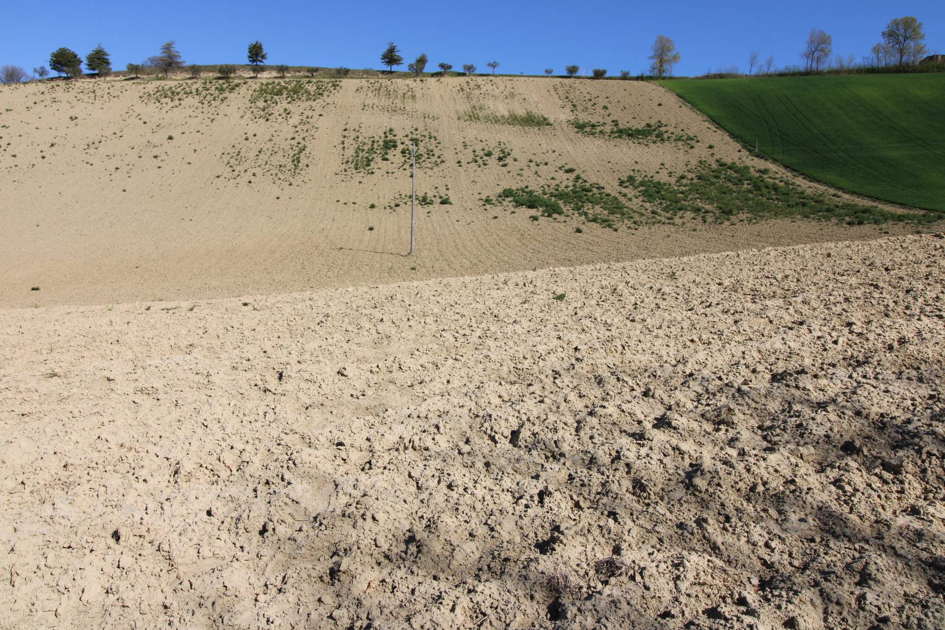 Terreno agricolo in vendita a Montottone