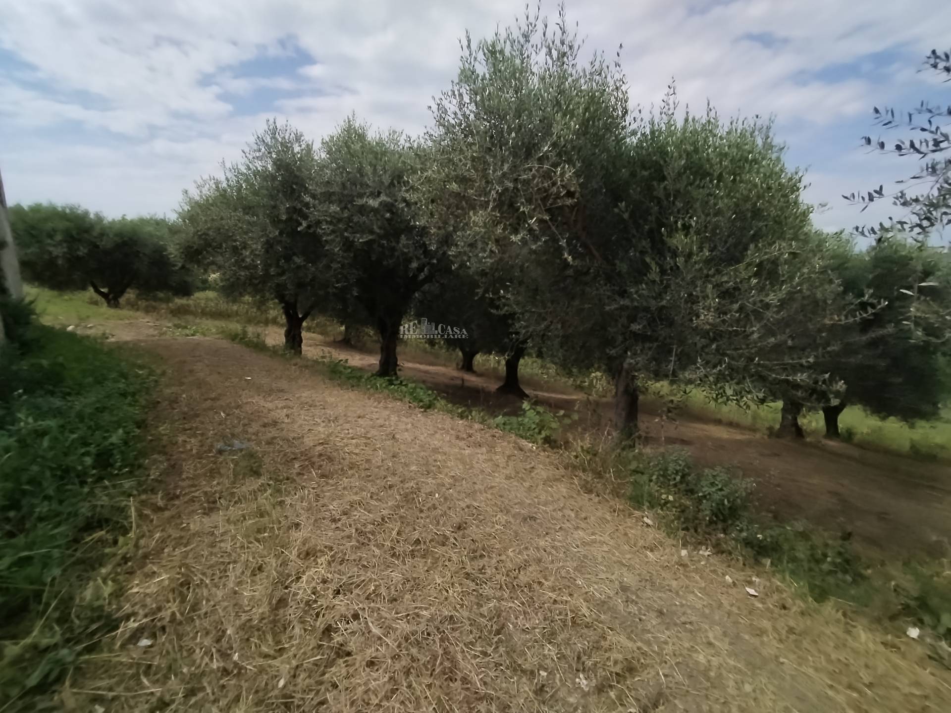 Casale / Rustico in vendita a Monteprandone, COLLINARE