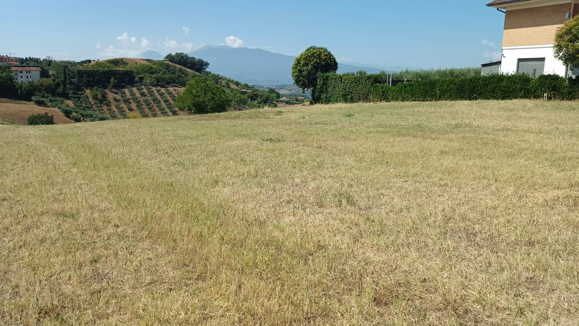 Terreno edificabile residenziale in vendita a Castorano, Palazzi
