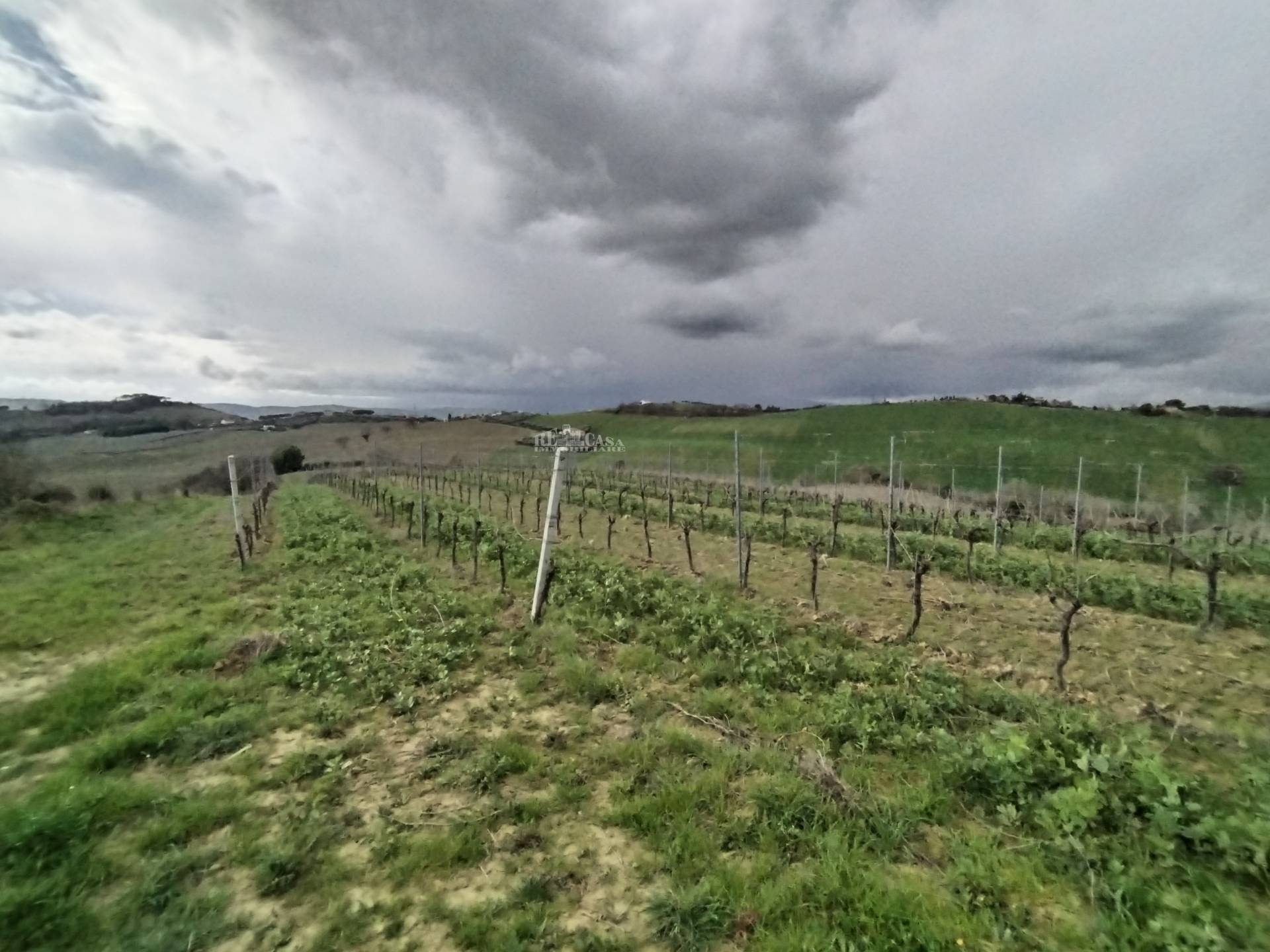 immagine annuncio 2 di 7