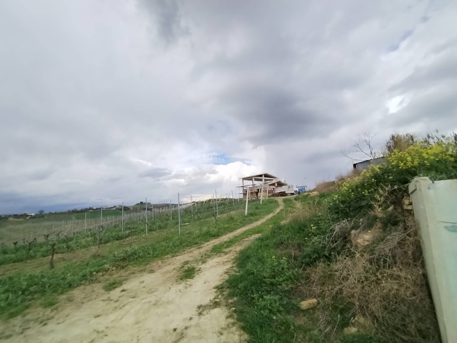 immagine annuncio 5 di 7