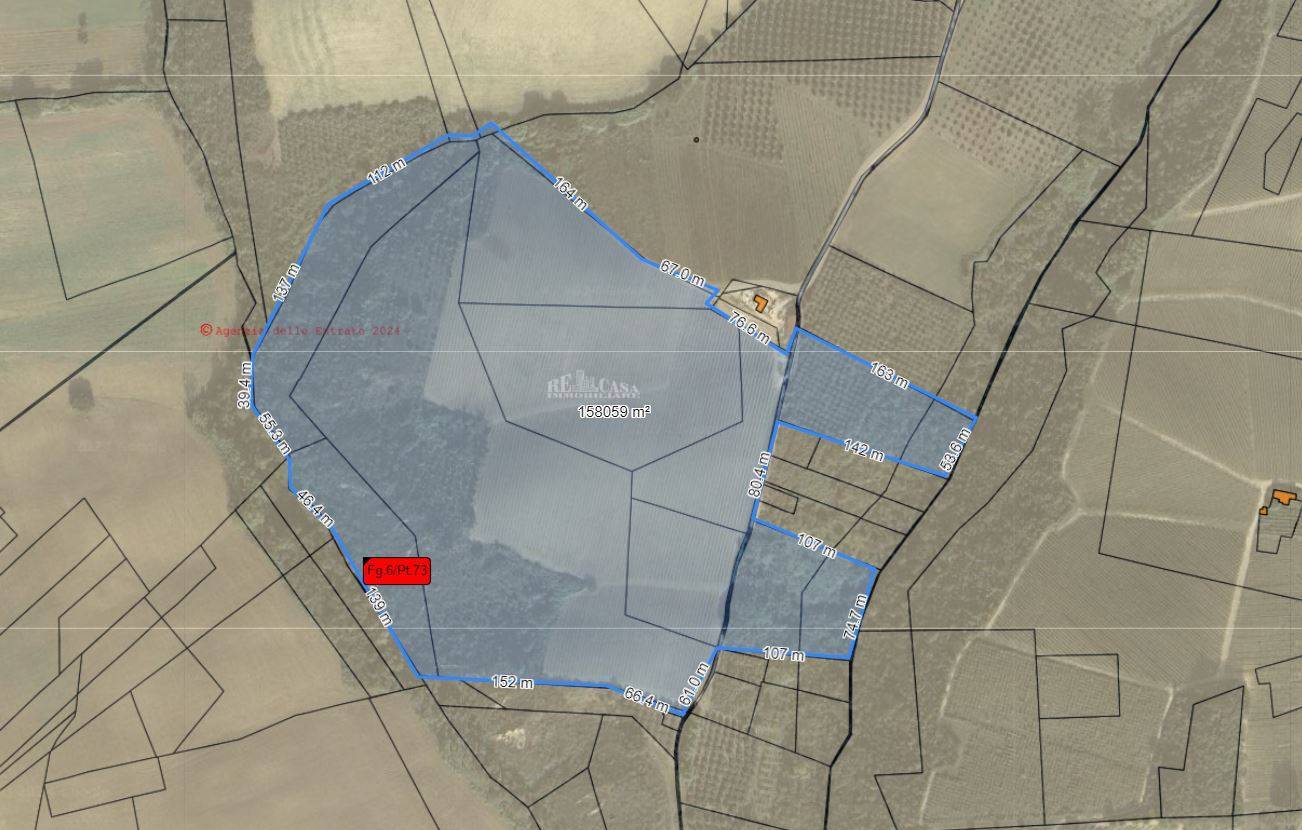 immagine annuncio 6 di 7