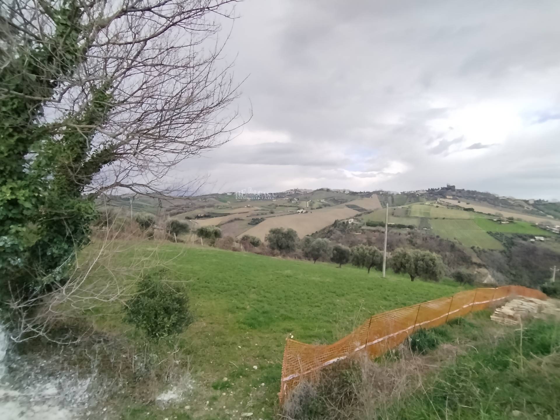 immagine annuncio 1 di 4