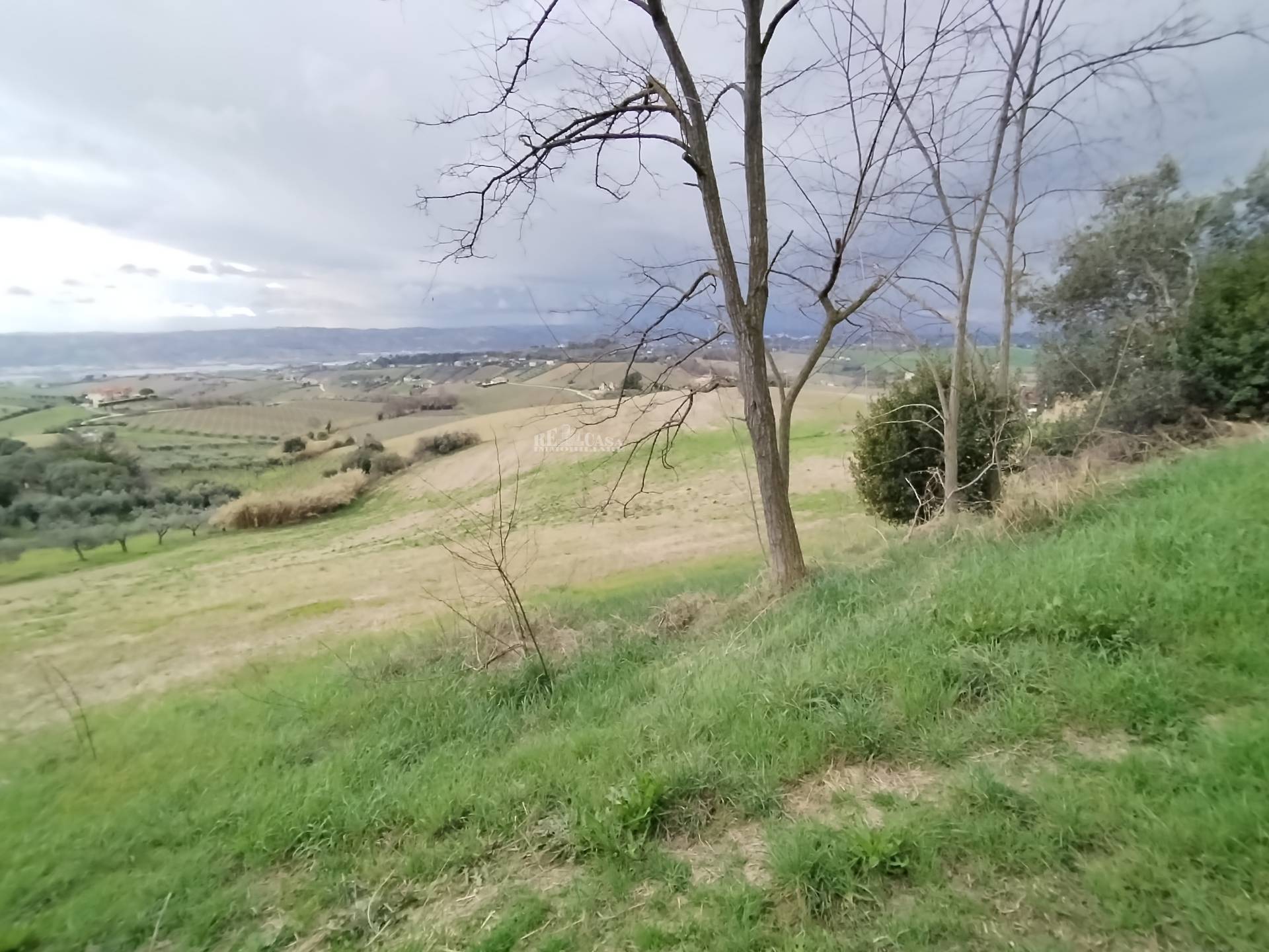 immagine annuncio 6 di 8