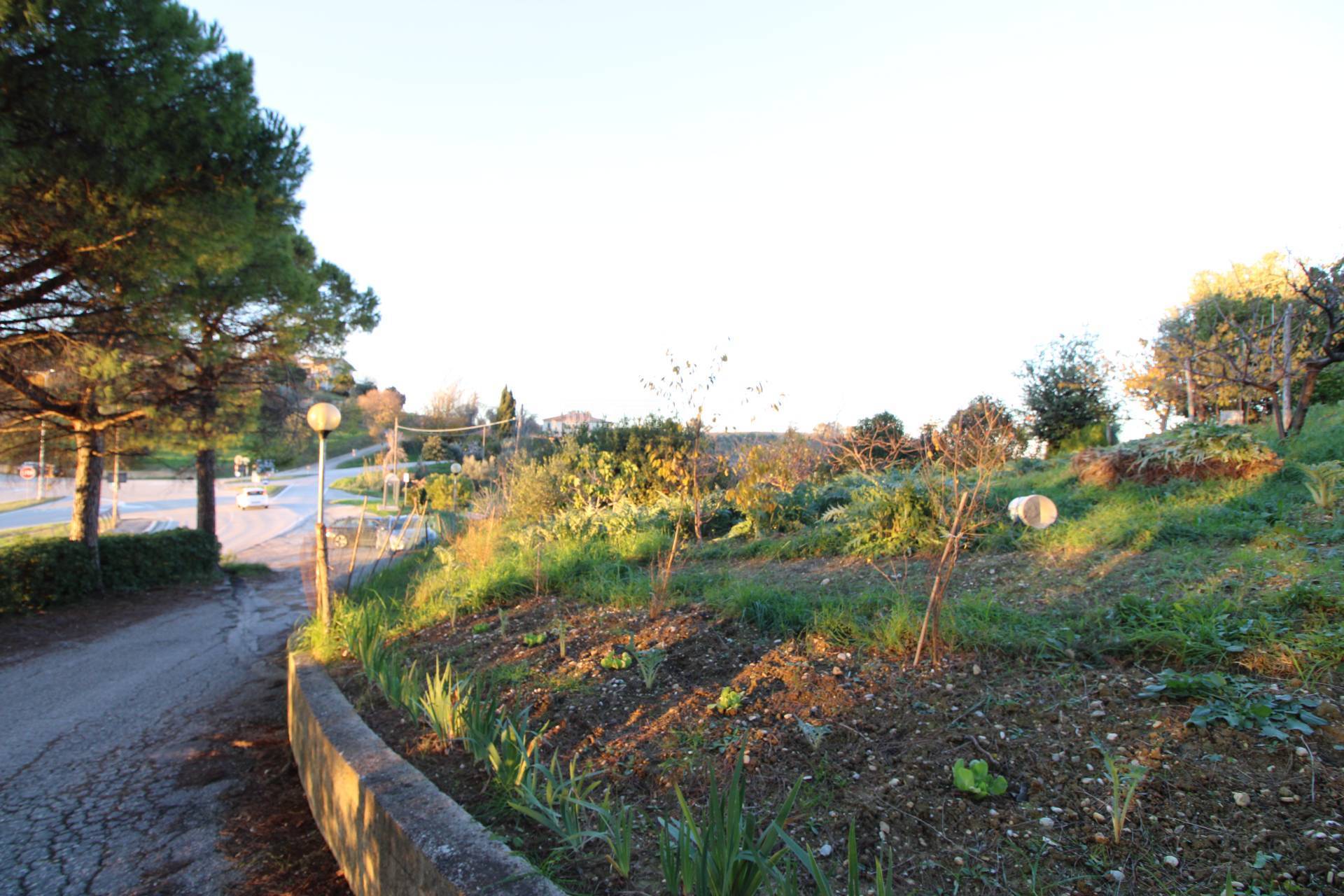 Terreno edificabile residenziale in vendita a Massignano, CENTRALE / CENTRO STORICO