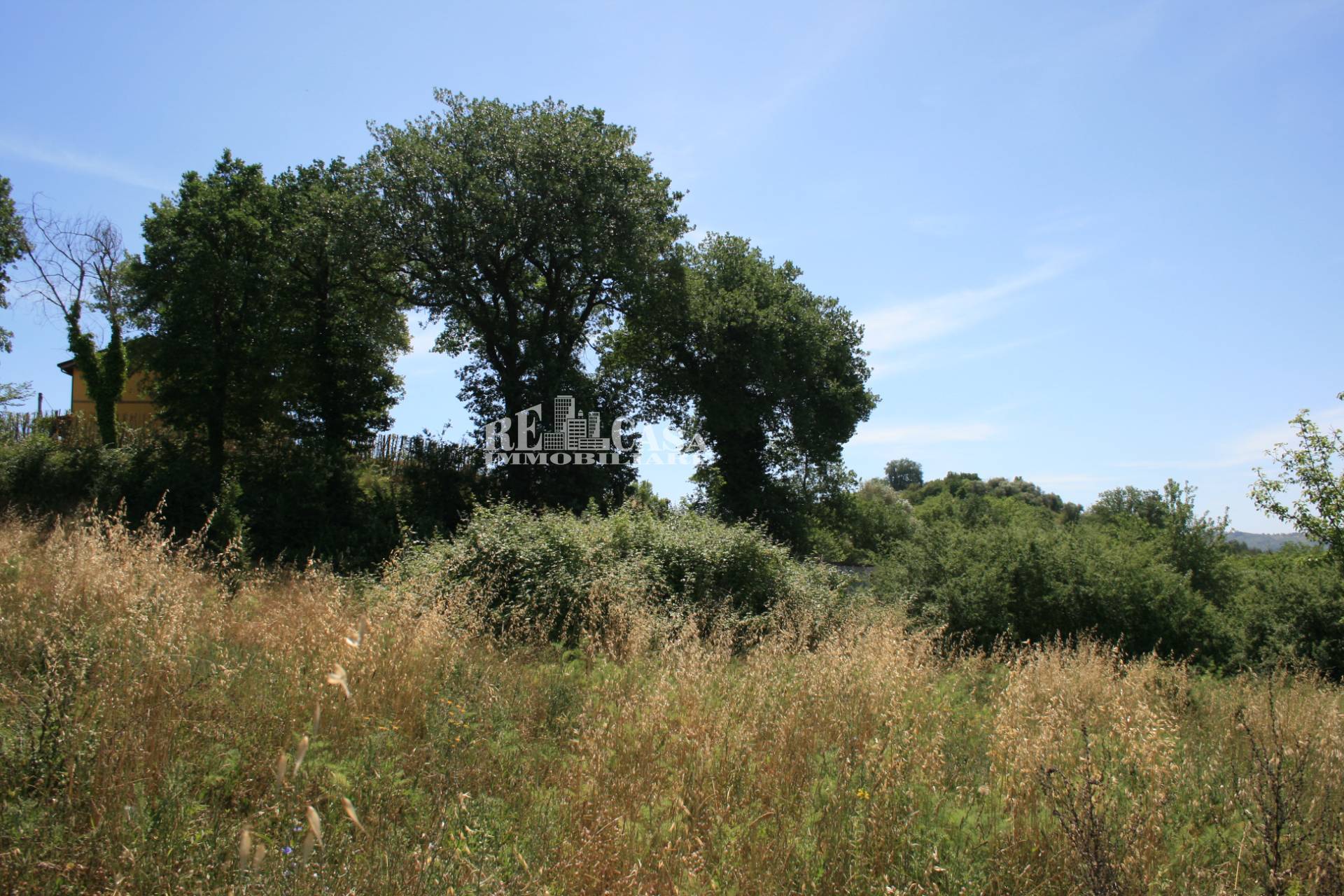 Terreno agricolo in vendita a Monsampolo del Tronto, COLLINARE