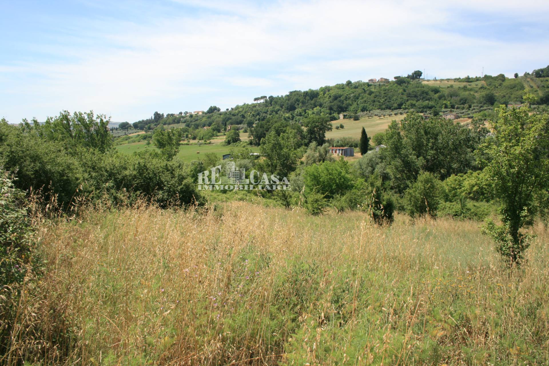 Terreno agricolo in vendita a Monsampolo del Tronto, COLLINARE