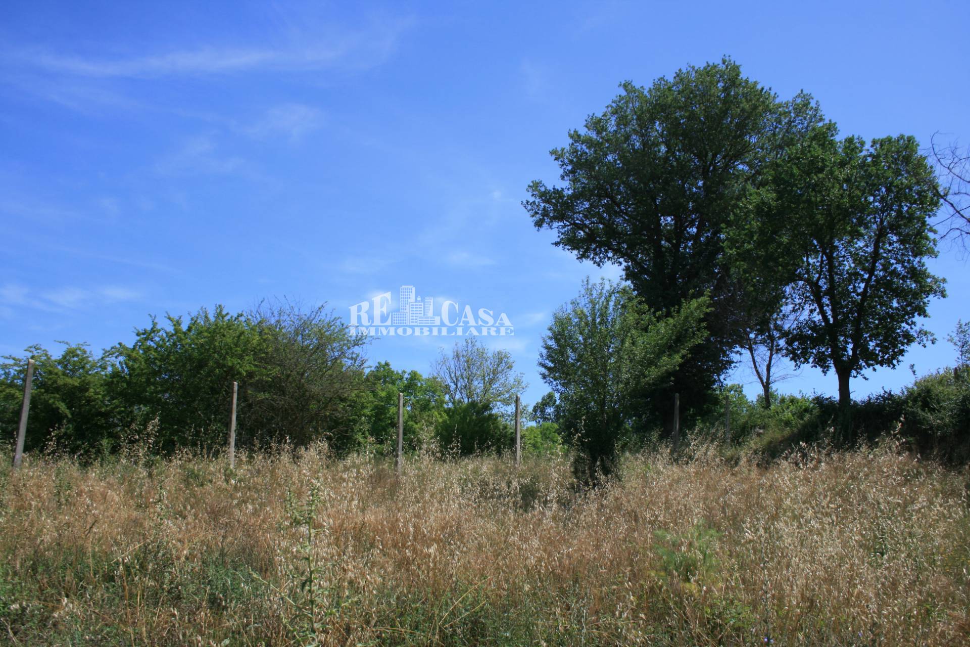 Terreno agricolo in vendita a Monsampolo del Tronto, COLLINARE