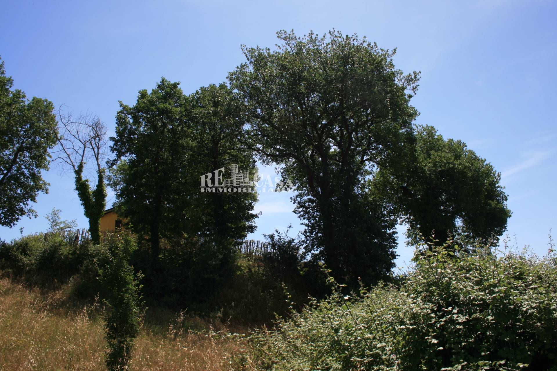 Terreno agricolo in vendita a Monsampolo del Tronto, COLLINARE