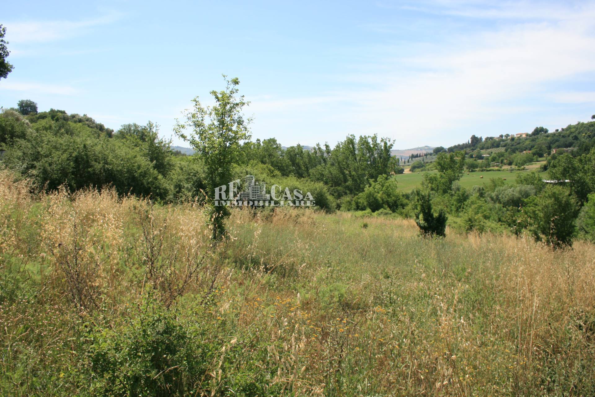 Terreno agricolo in vendita a Monsampolo del Tronto, COLLINARE