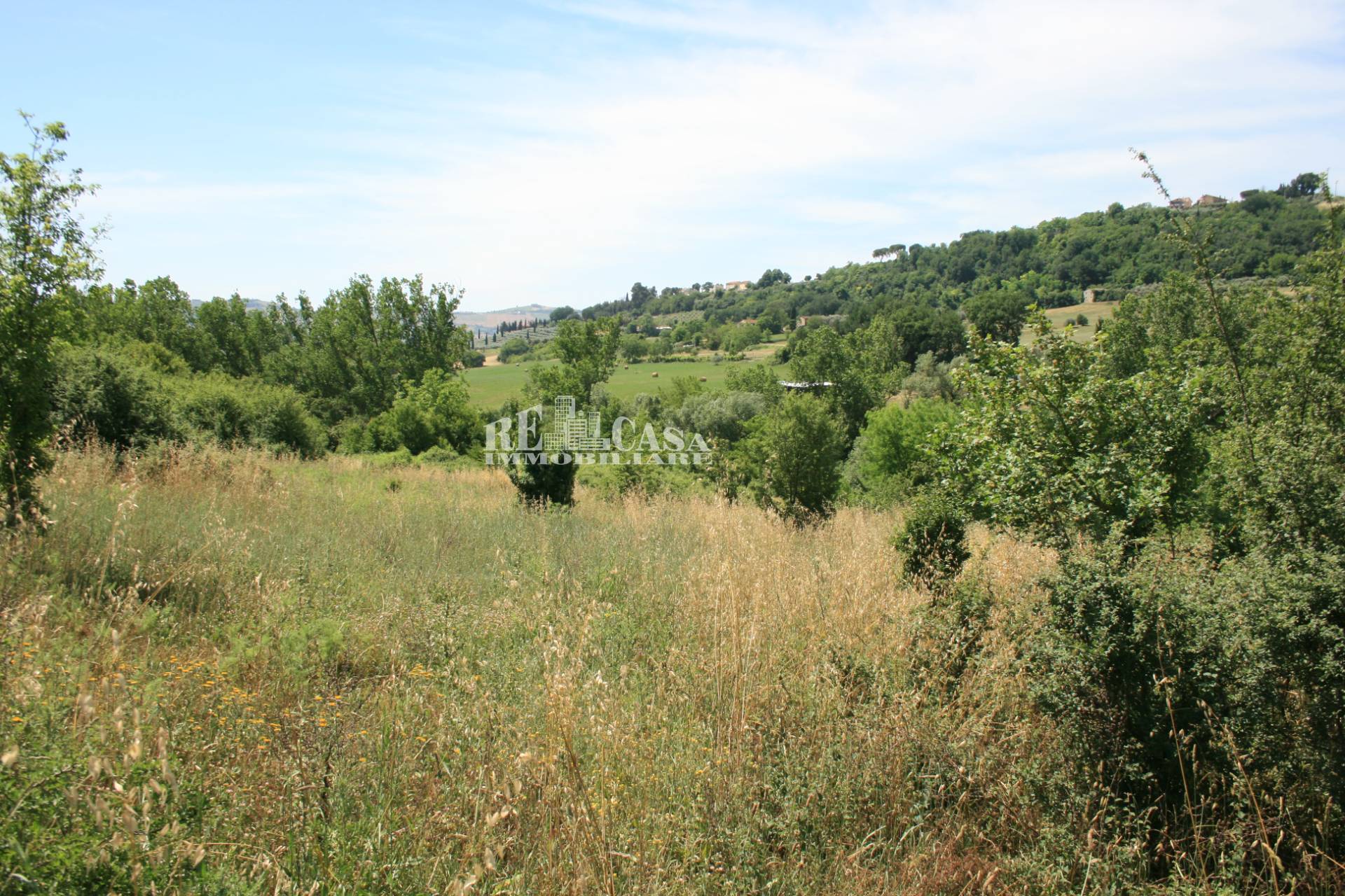 Terreno agricolo in vendita a Monsampolo del Tronto, COLLINARE