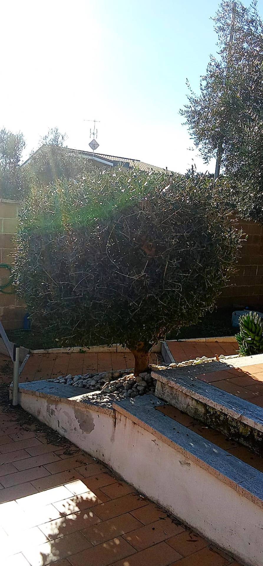 Casa in vendita a Anzio
