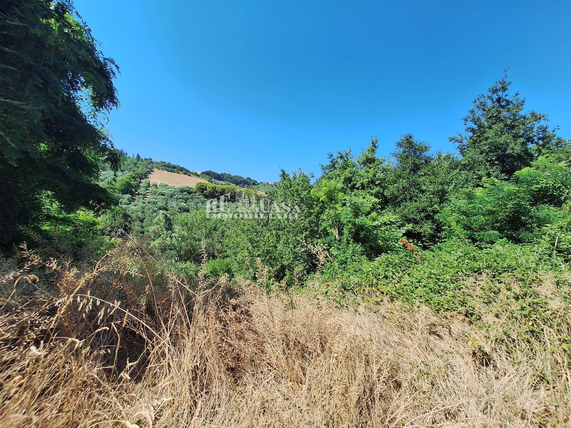 Terreno agricolo in vendita a Acquaviva Picena, RESIDENZIALE