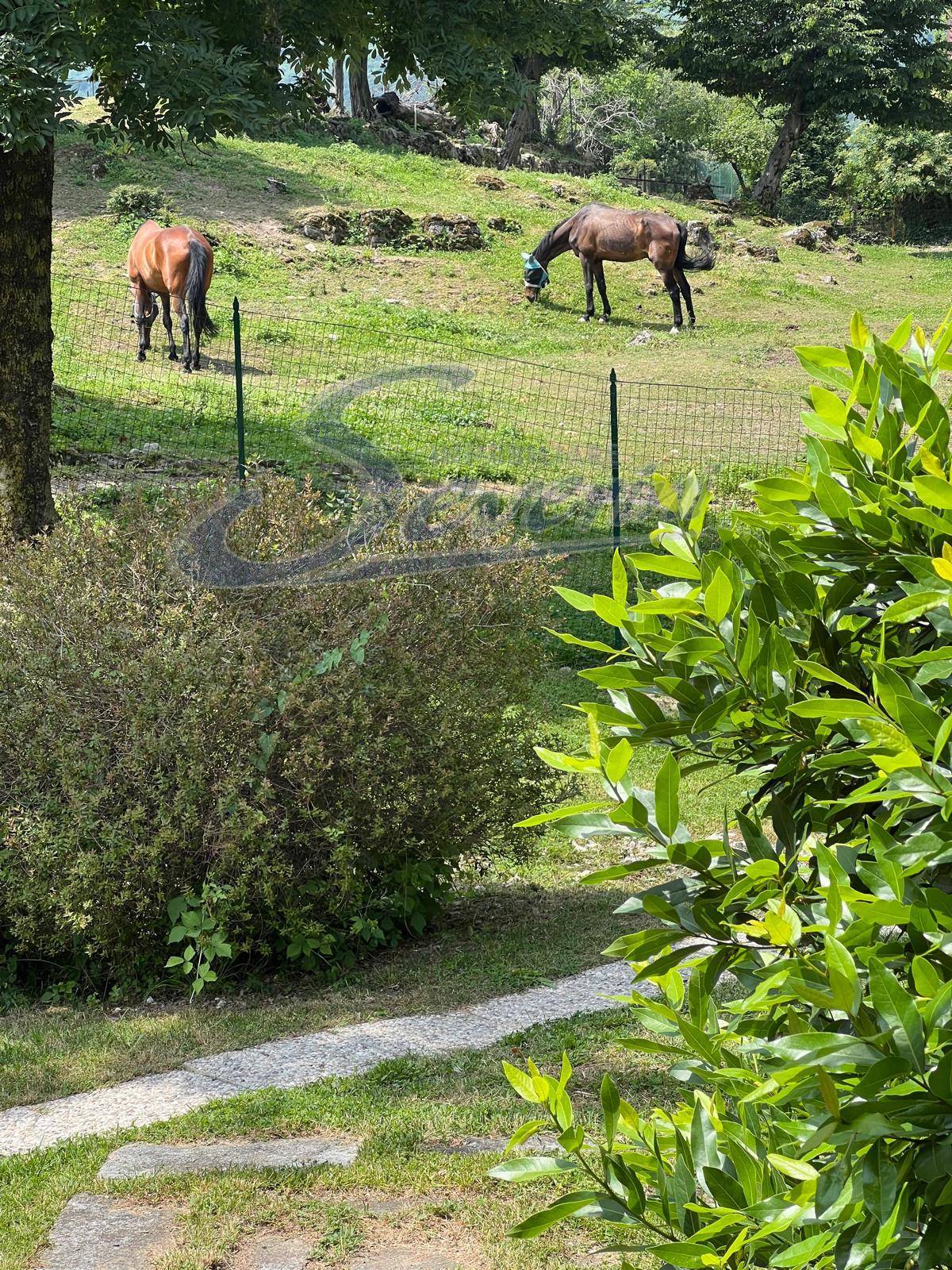 Casa indipendente in vendita a Caslino d'Erba