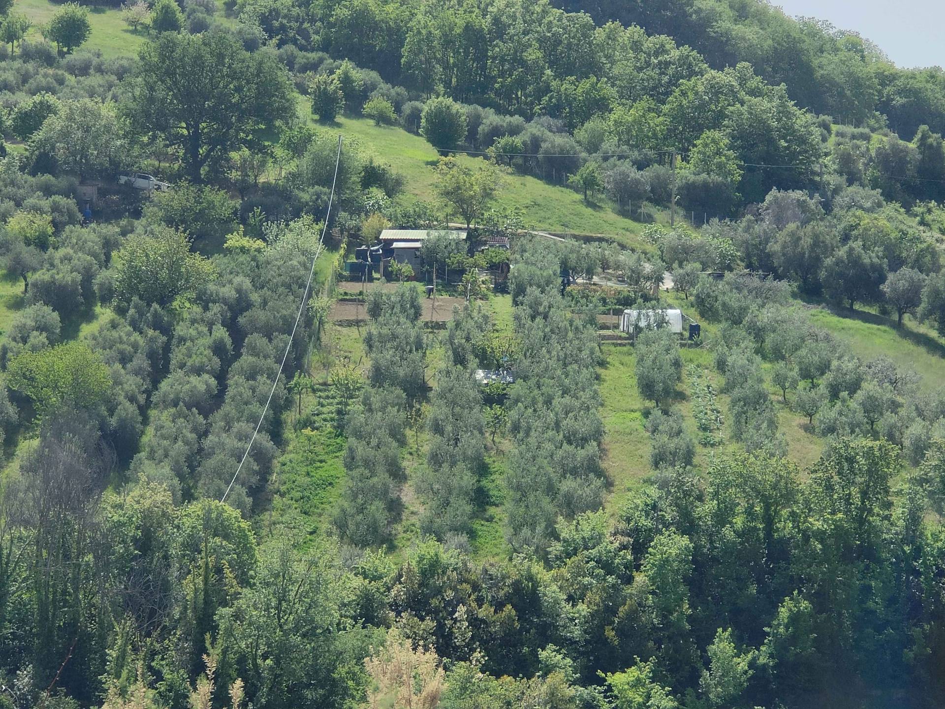 Terreno in vendita, Acquaviva Picena centrale