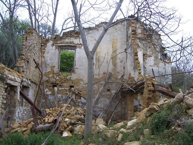 immagine annuncio 1 di 6