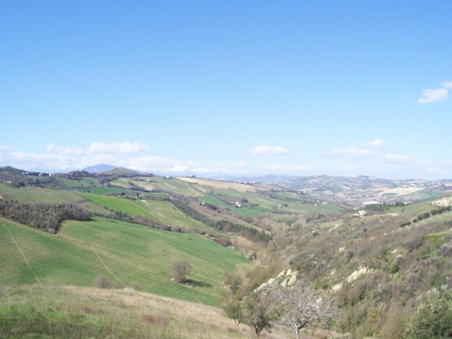 immagine annuncio 3 di 6
