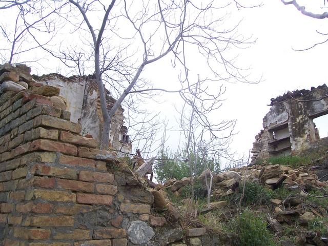 immagine annuncio 4 di 6