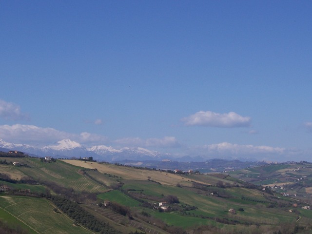 immagine annuncio 5 di 6