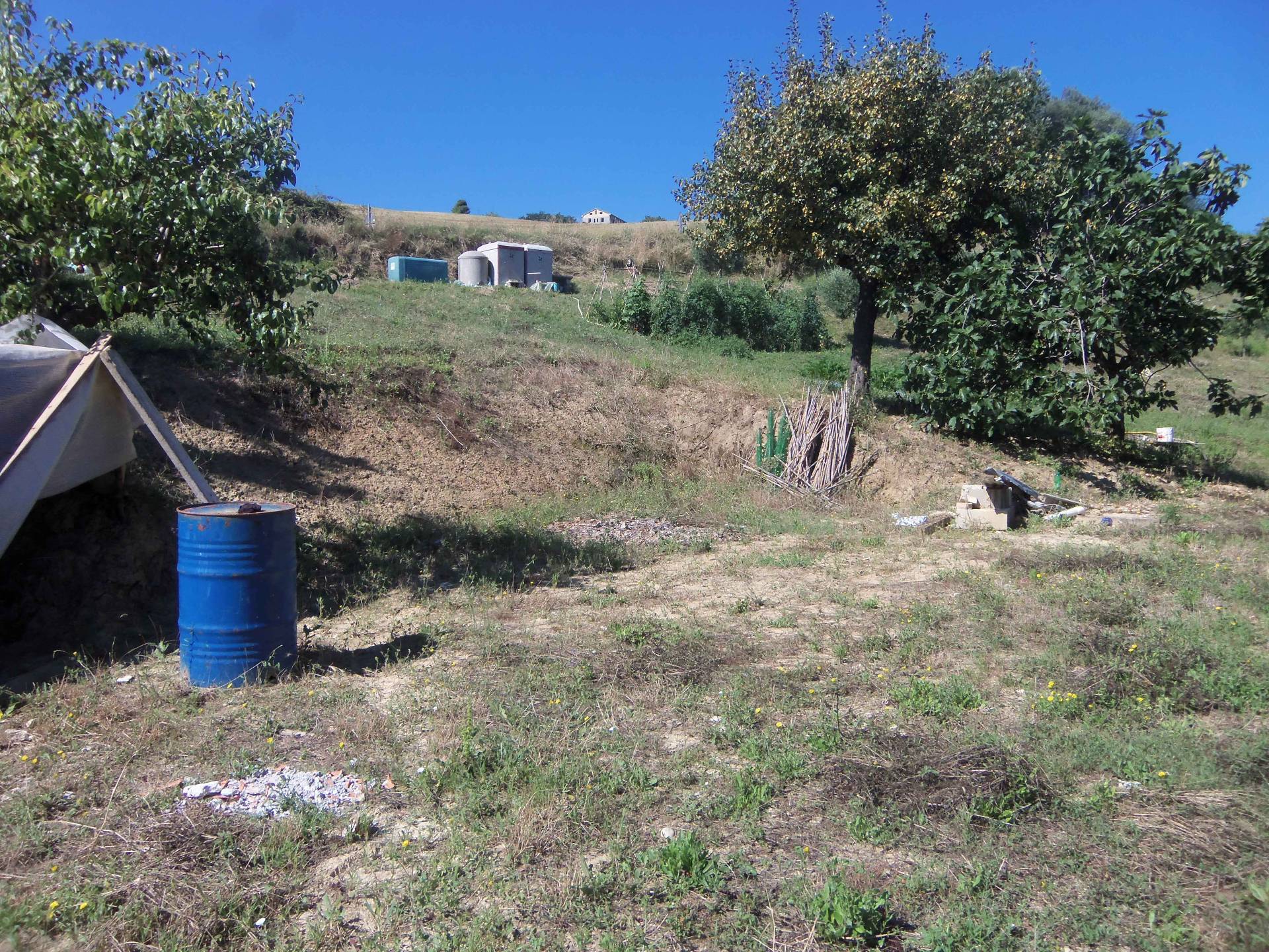 immagine annuncio 1 di 6